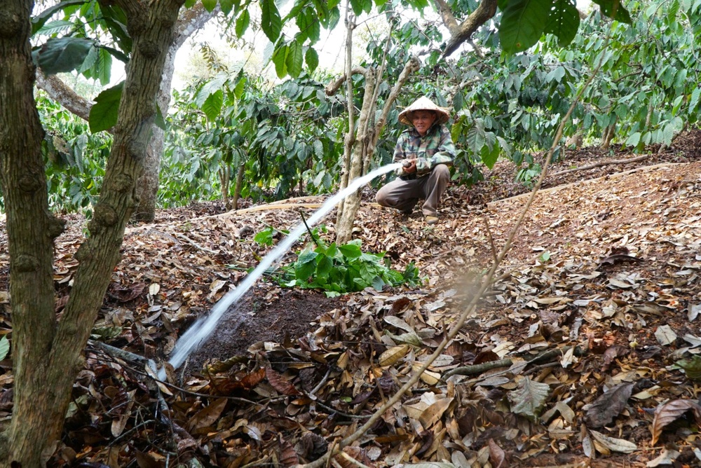 Giam chi phi xang: Nong, ngu dan tuoi cay bang dien, ban ca giua bien hinh anh