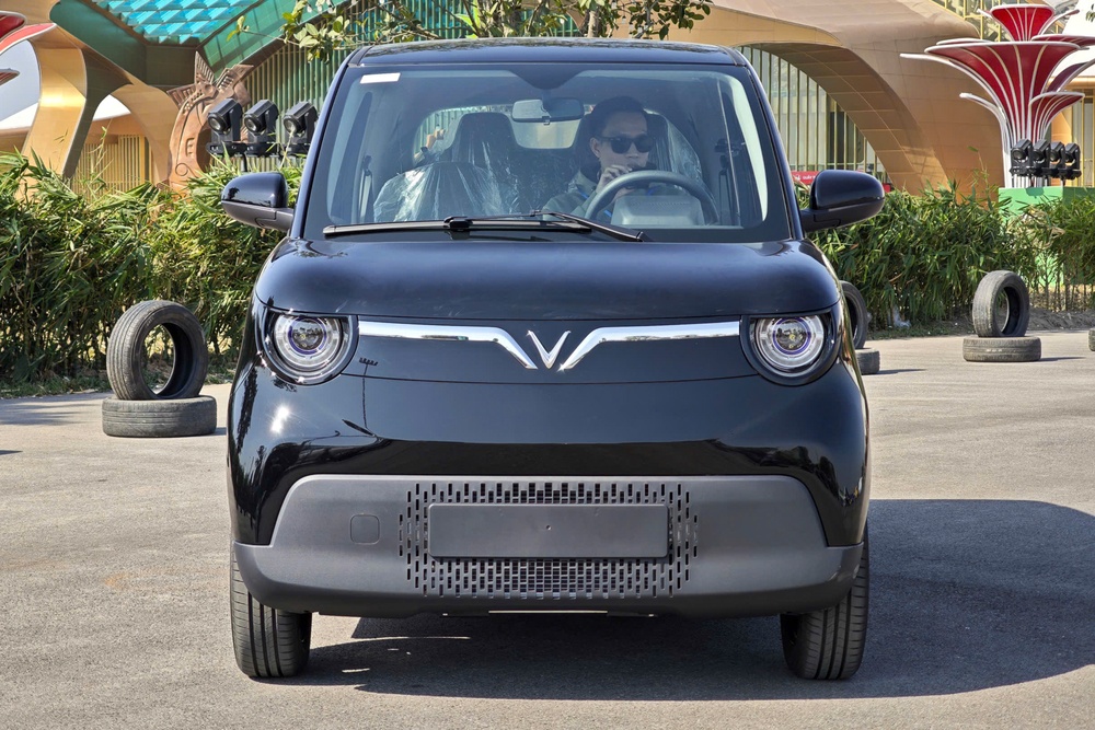 Chi phi nhien lieu tang cao, xe dien mini gia re se len ngoi? hinh anh