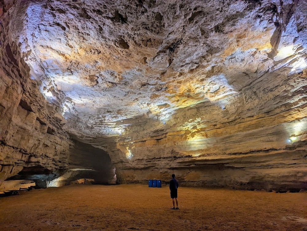 Loai muoi dac biet khien vua chua cat cong tim kiem hinh anh