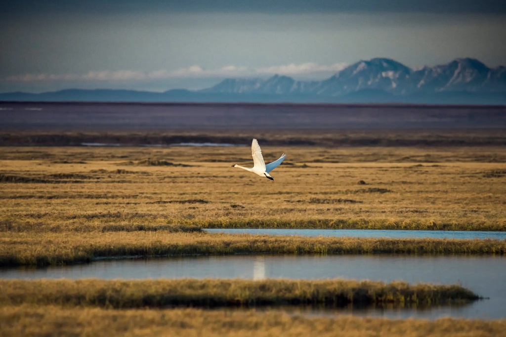 Nước Mỹ thay đổi ra sao sau một tuần thời Trump 2.0