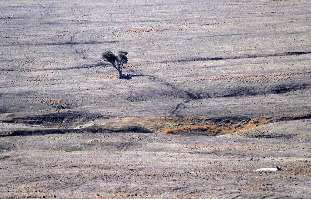 El Nino ảnh 4