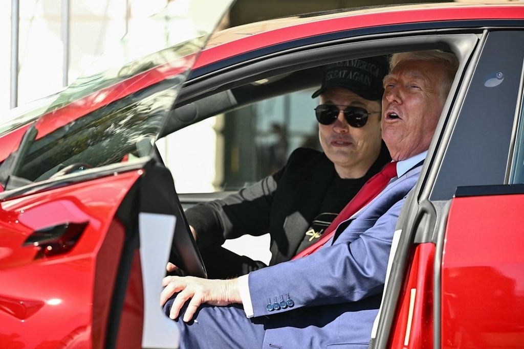 trump, musk brother 4