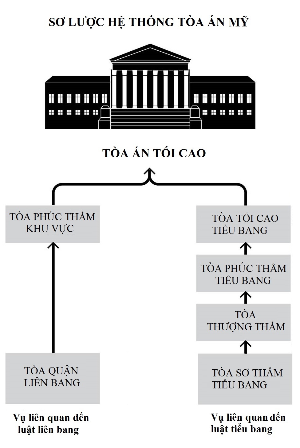 quyen luc tong thong ve nhap cu anh 1