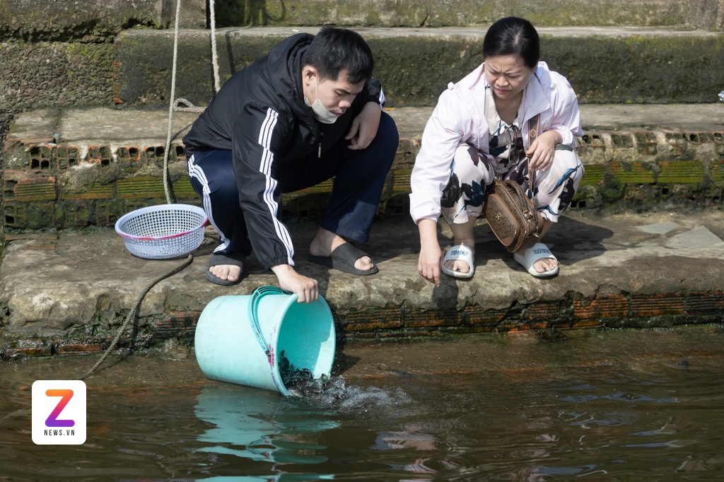 tha ca chep TP.HCM anh 6