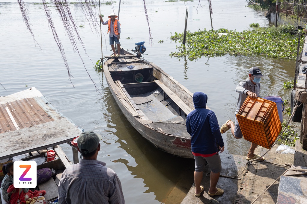 tha ca chep TP.HCM anh 8