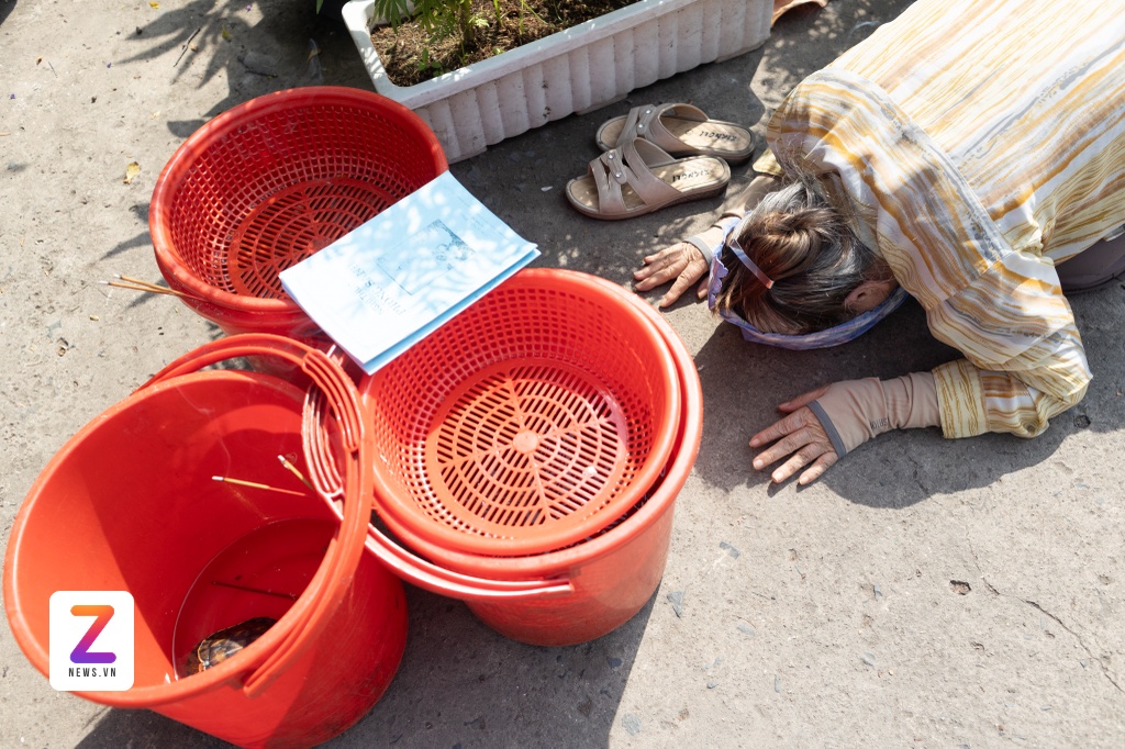 tha ca chep TP.HCM anh 9