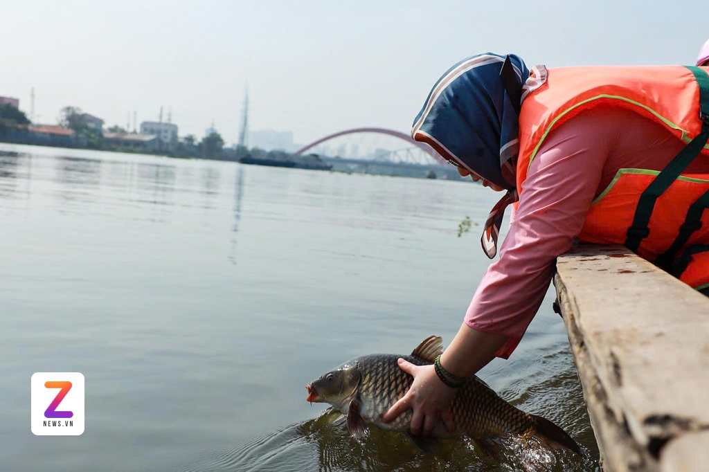 tha ca chep TP.HCM anh 7