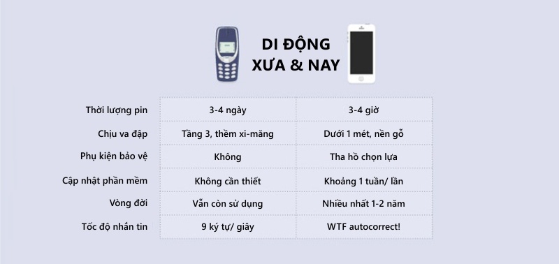 z01.jpg
