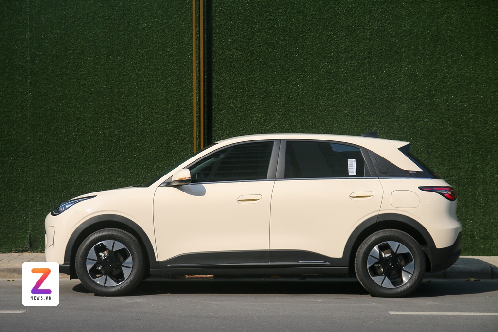 oto dien Trung Quoc anh 2