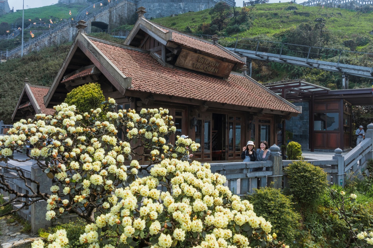 hoa do quyen anh 4