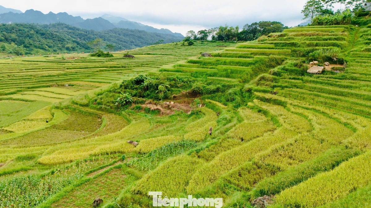 Pù Luông ảnh 2 Pu Luong anh 2
