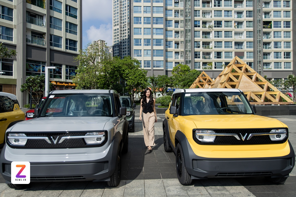 Xe giá 500 triệu đồng ảnh 1 Xe gia 500 trieu dong anh 1