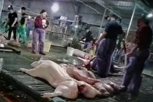 phụ huynh ảnh 1 phu huynh anh 1