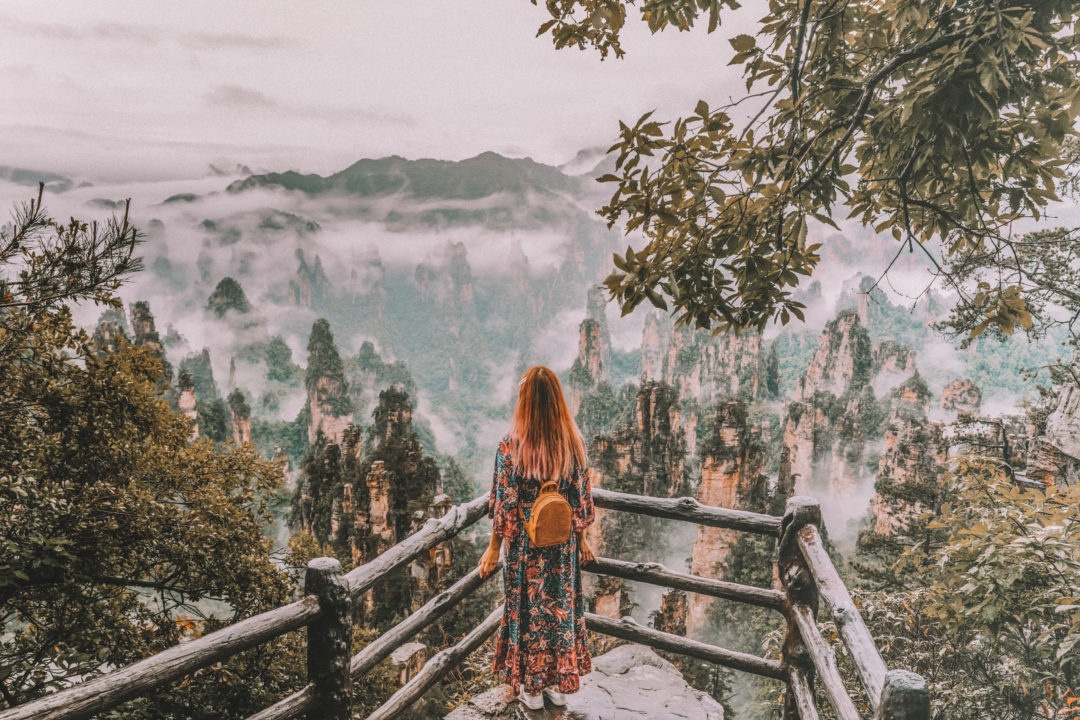 truong gia gioi anh 1