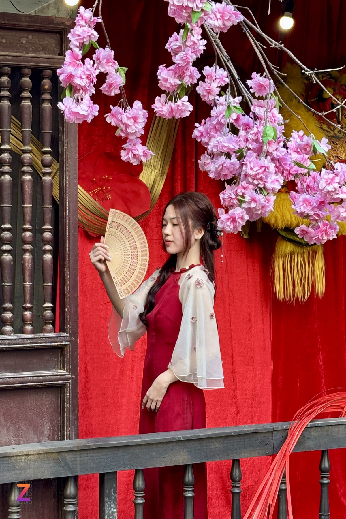Hình ảnh