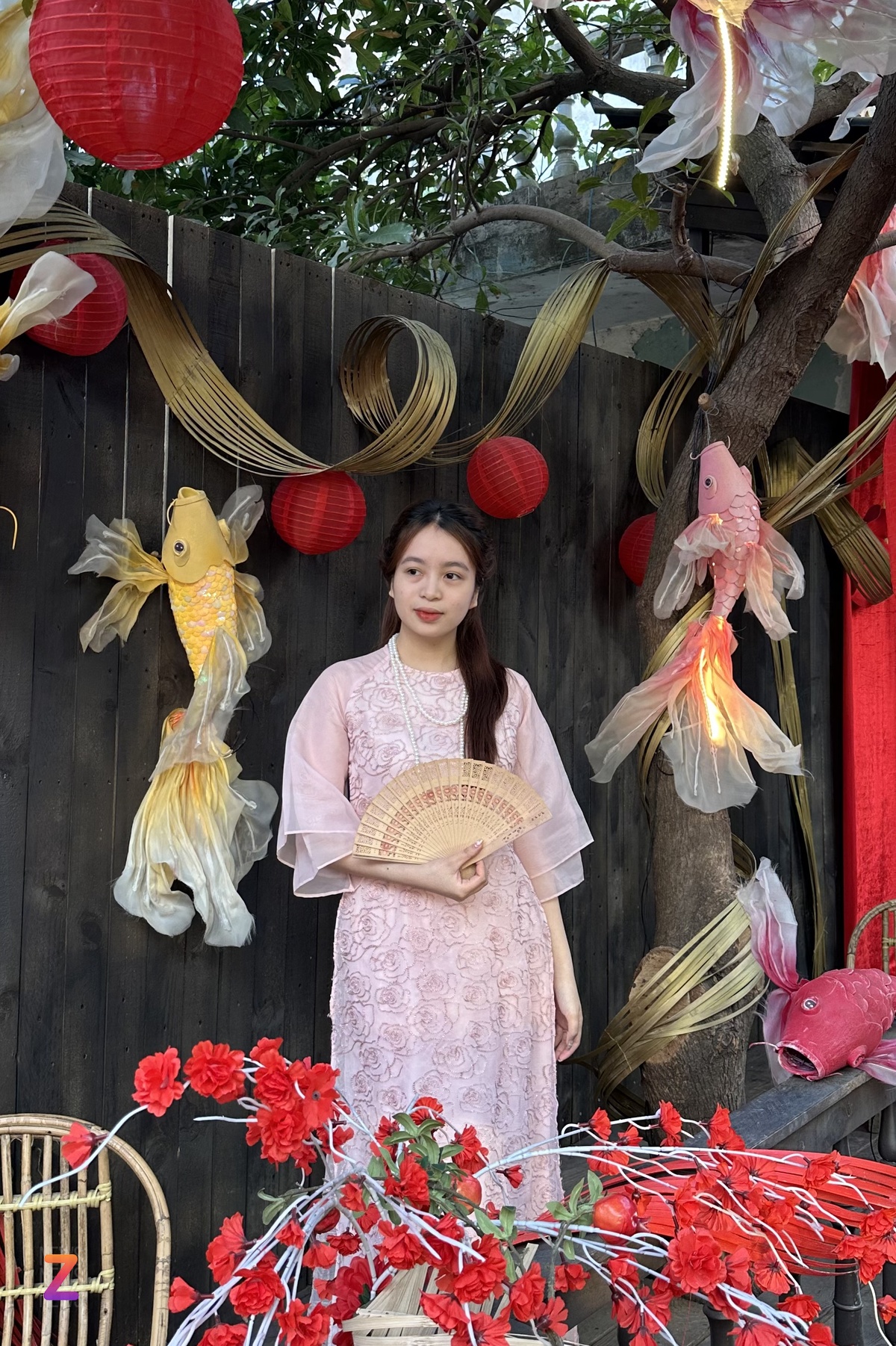 Hình ảnh