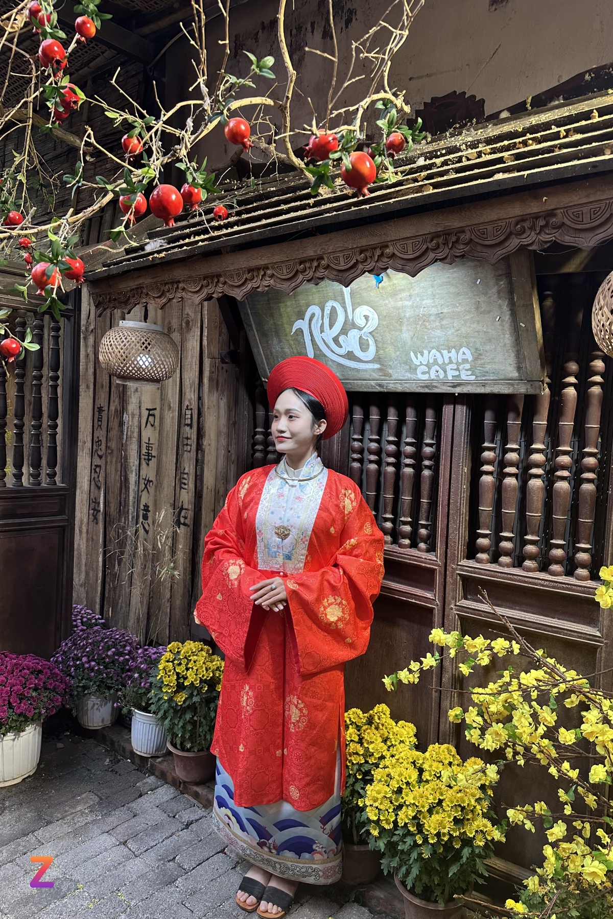 Hình ảnh
