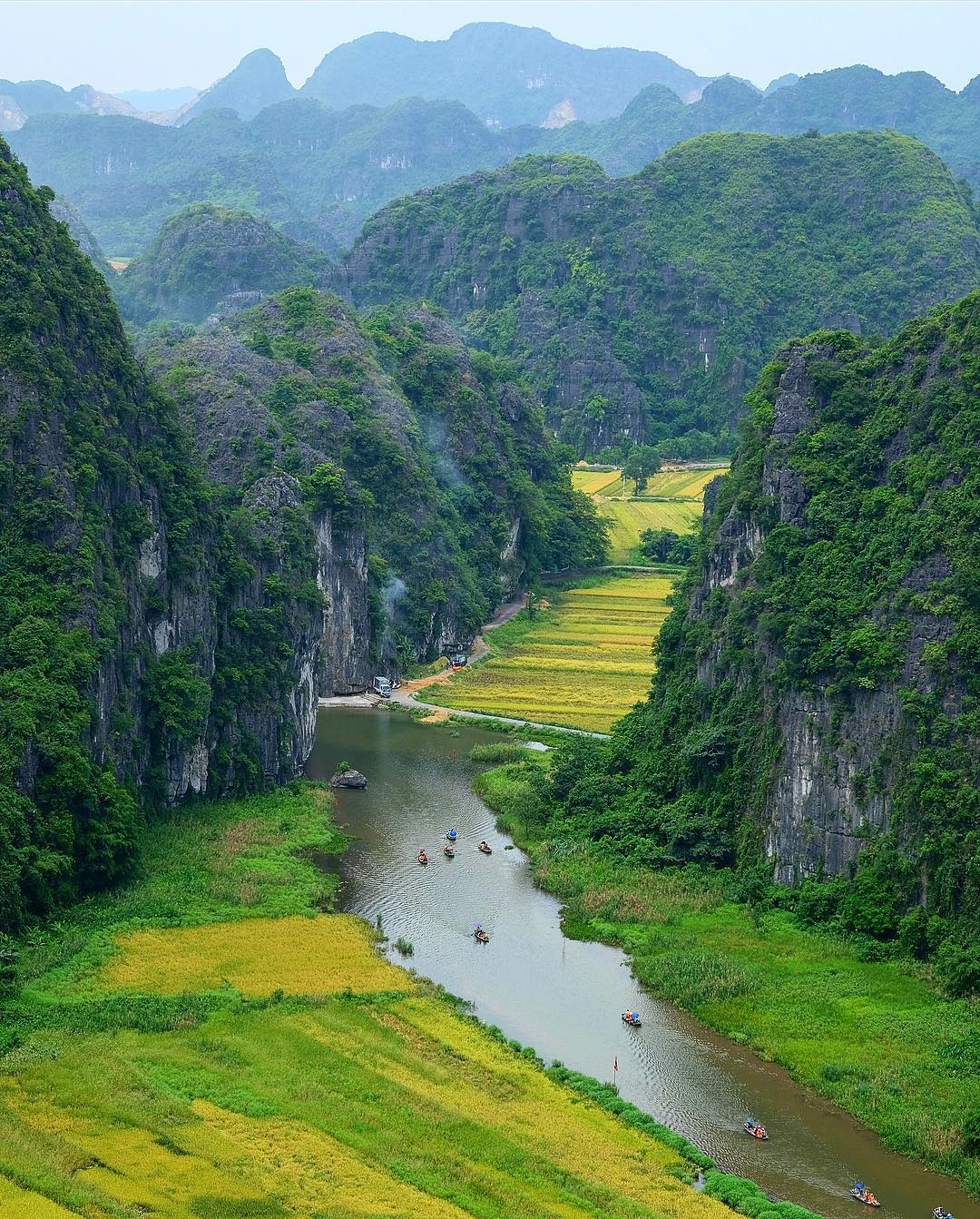 Tam Cốc mùa lúa chín ảnh 2 Tam Coc mua lua chin anh 2