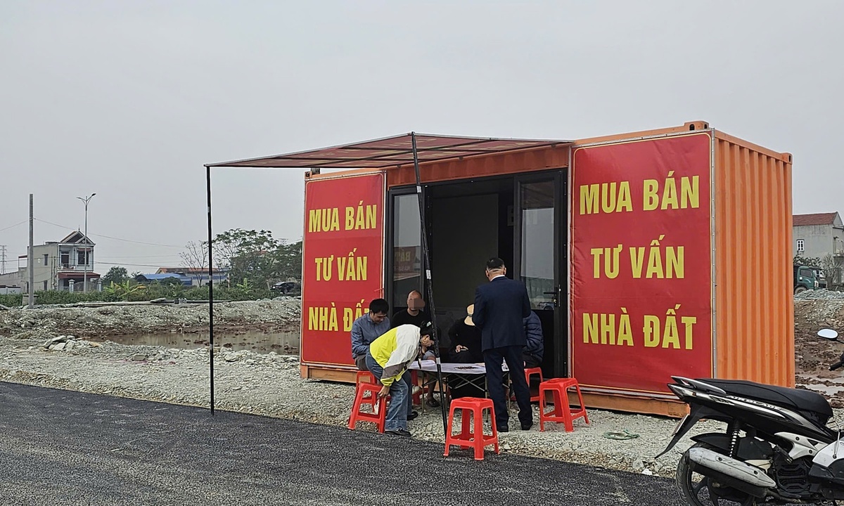Đấu giá đất vùng quê: Chưa lên sàn 'cò đất' đổ về gây náo loạn