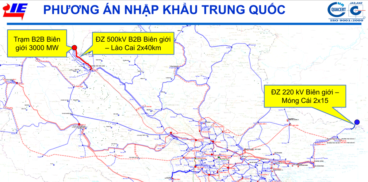 nhap khau dien anh 1