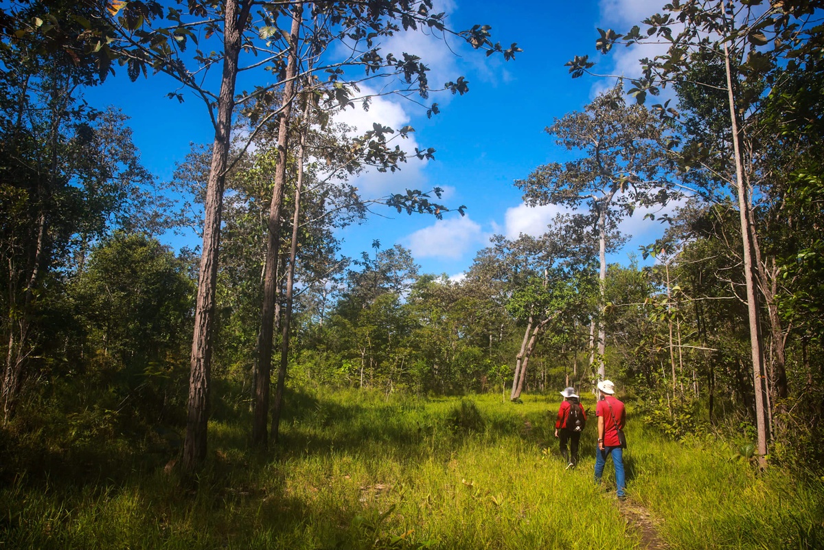 Du lich Tay Ninh anh 6