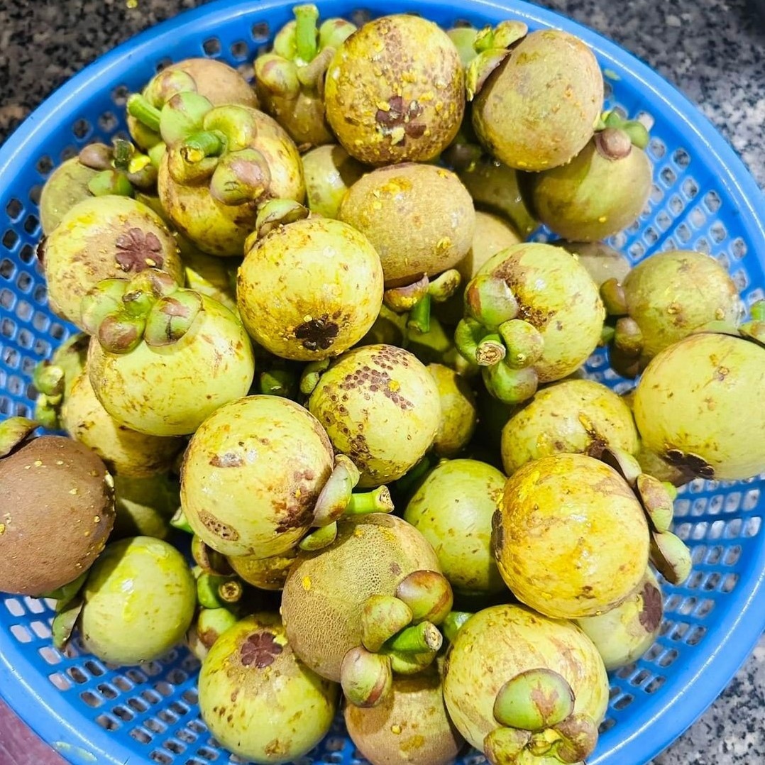 Goi ga mang cut anh 1
