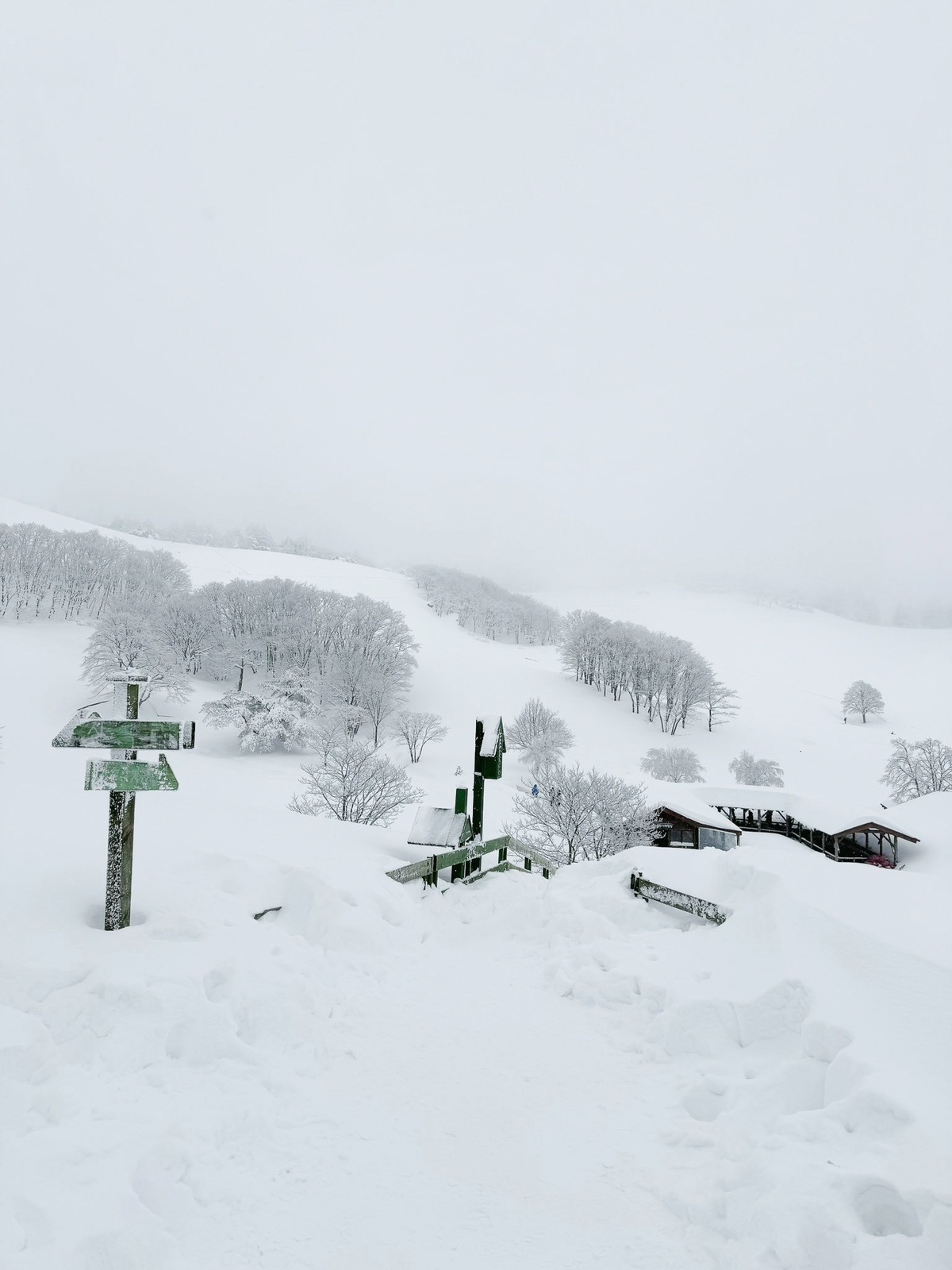 Du lich ngam tuyet anh 2