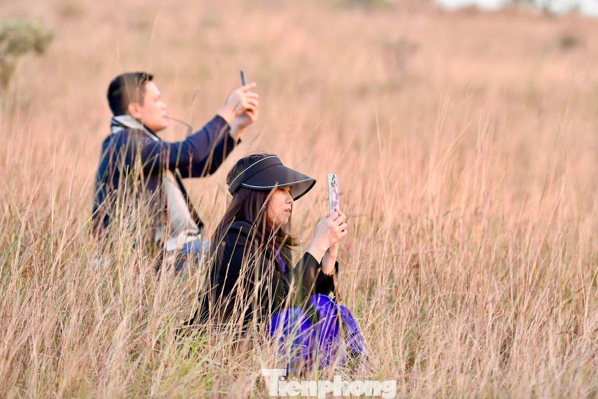 dinh Phuong Hoang anh 7