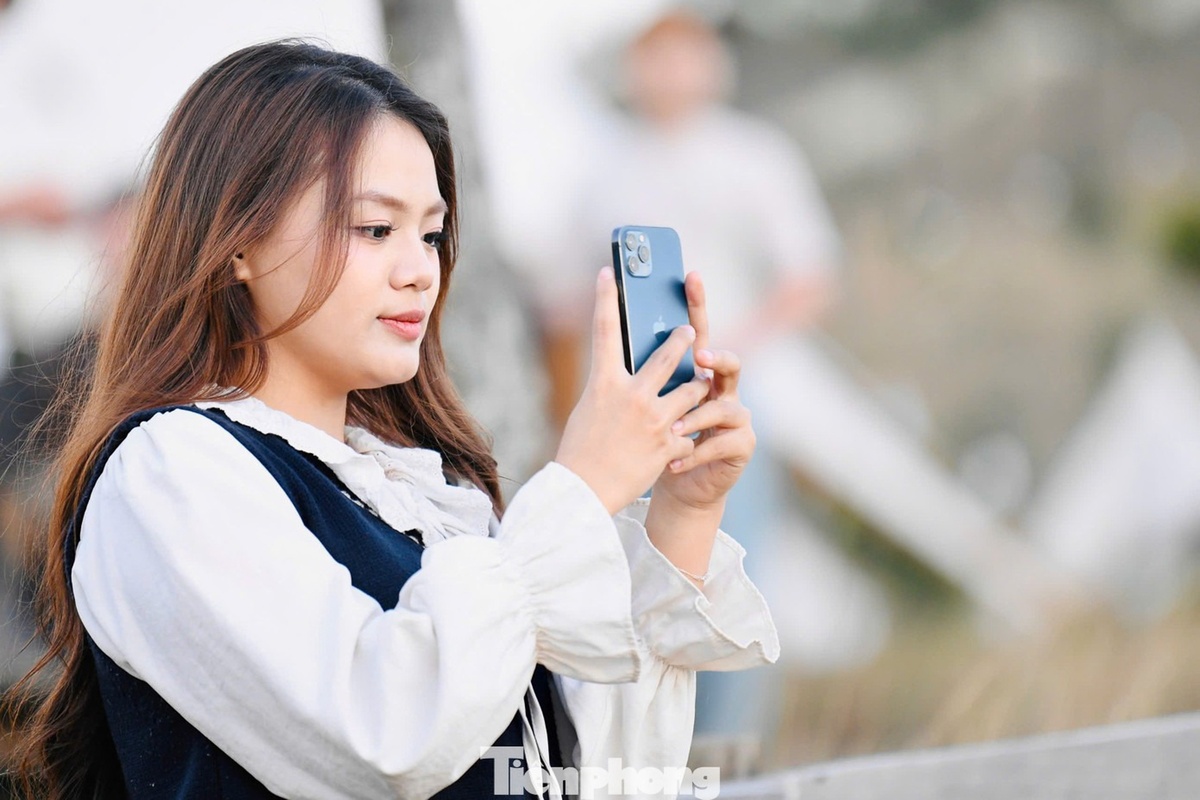 dinh Phuong Hoang anh 9