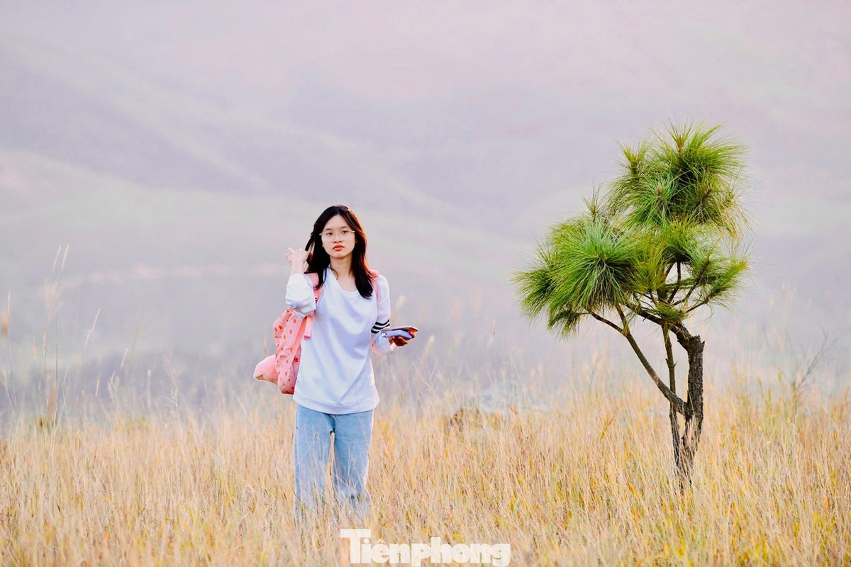 dinh Phuong Hoang anh 13