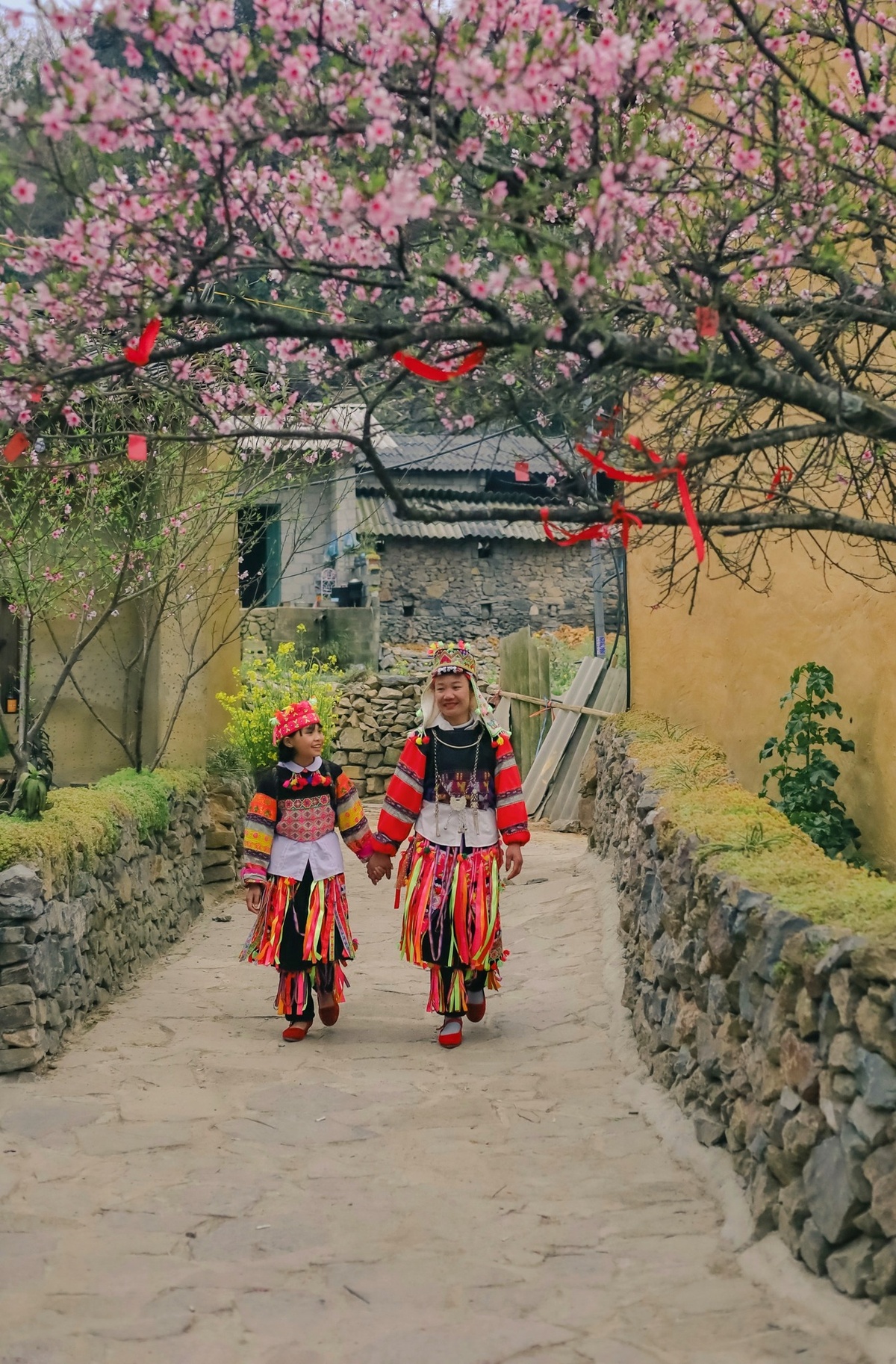 Lô Lô Chải ảnh 2 Lo Lo Chai anh 2