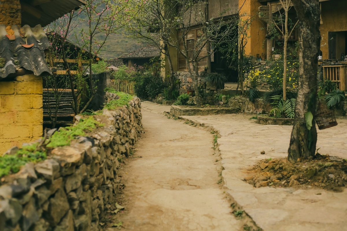 Lô Lô Chải ảnh 4 Lo Lo Chai anh 4