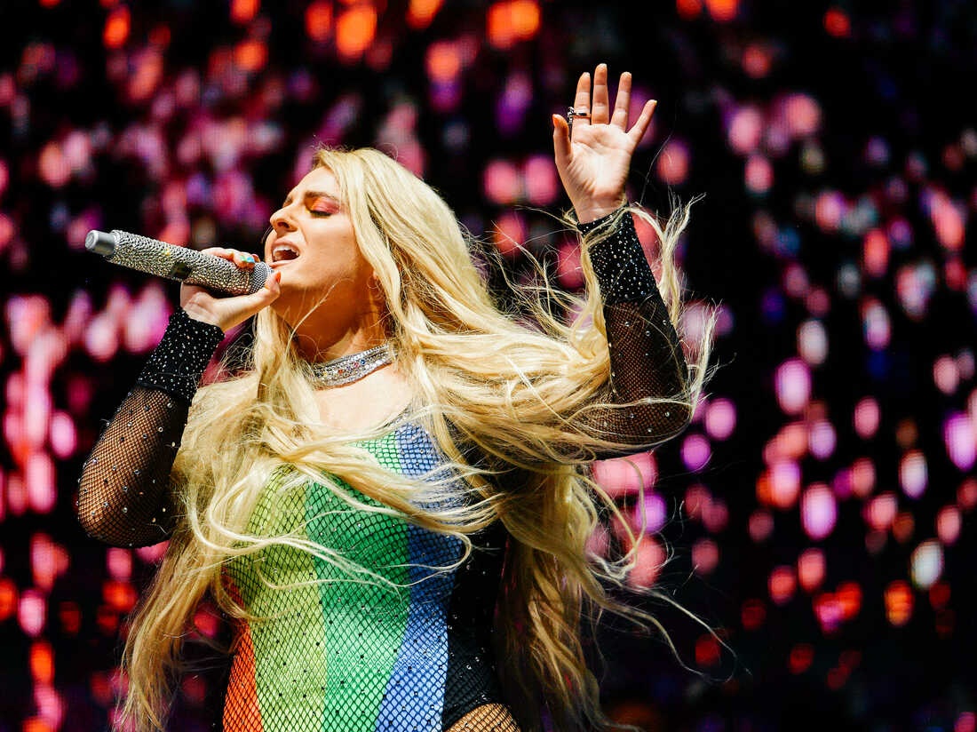 Made You Look,  Meghan Trainor,  Gucci,  Louis Vuitton anh 3