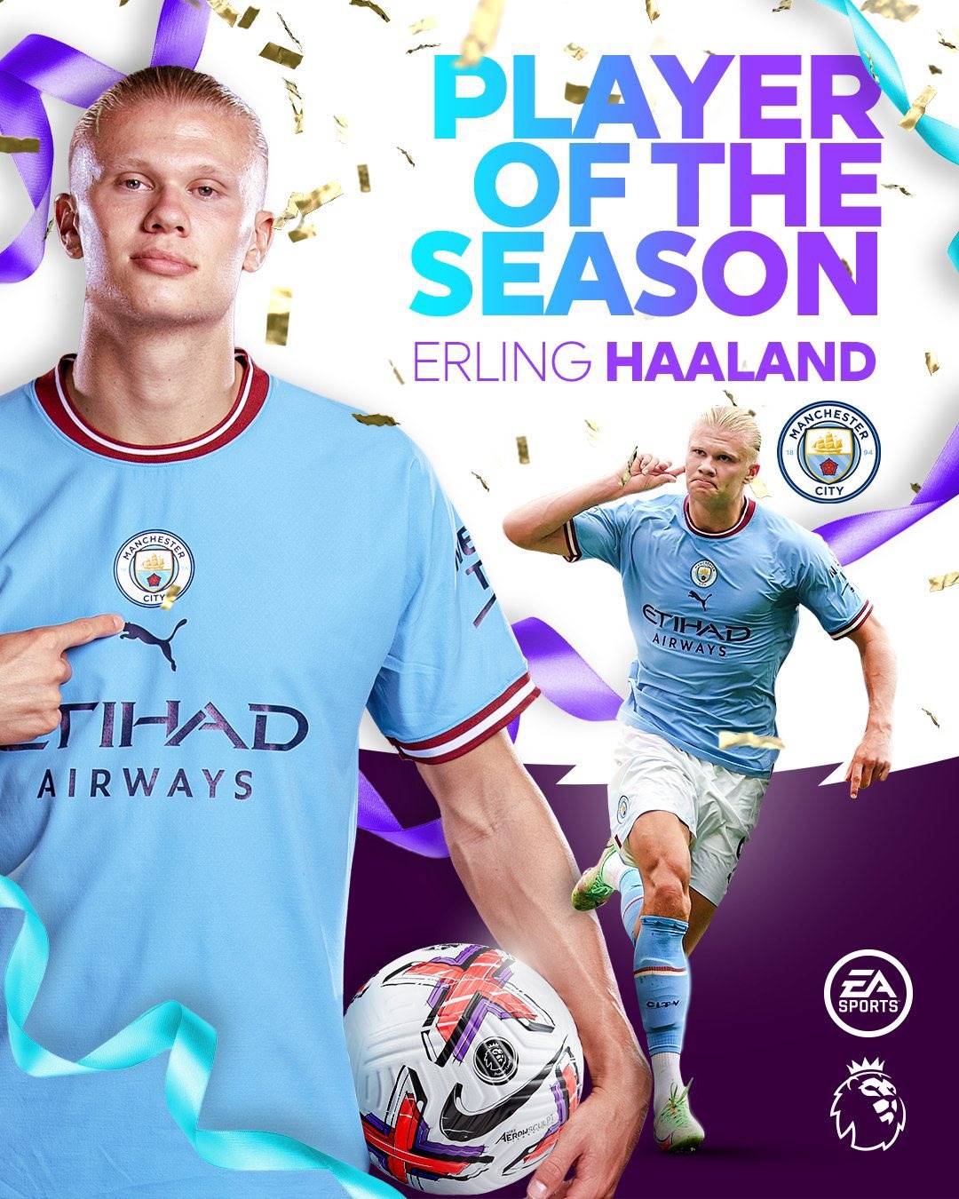 haaland anh 1