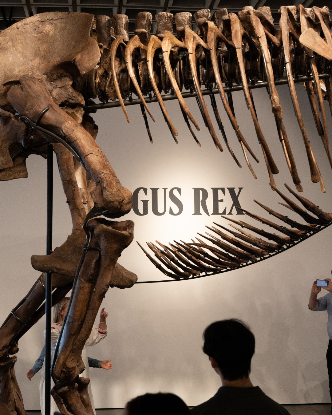 T. rex,  hóa thạch,  khủng,  khủng long,  sinh vật học,  mẫu vật,  Sotheby’s,  Tyrannosaurus rex ảnh 3
