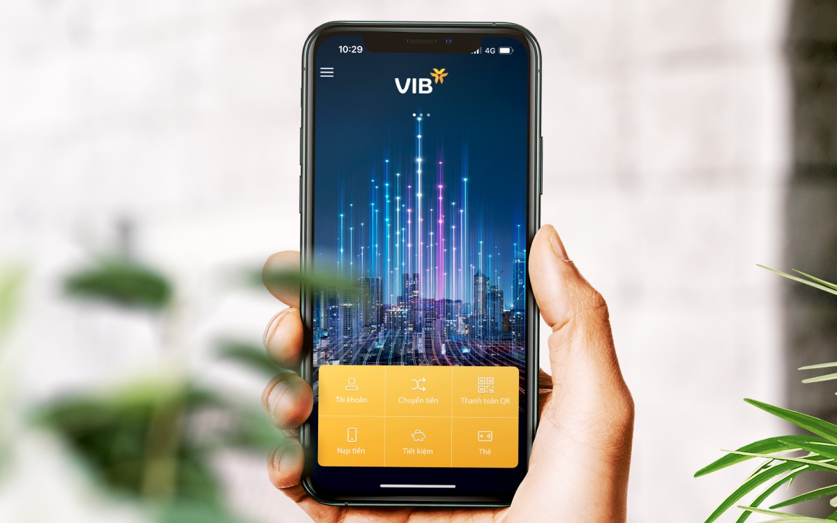 MyVIB,  The Asset anh 2