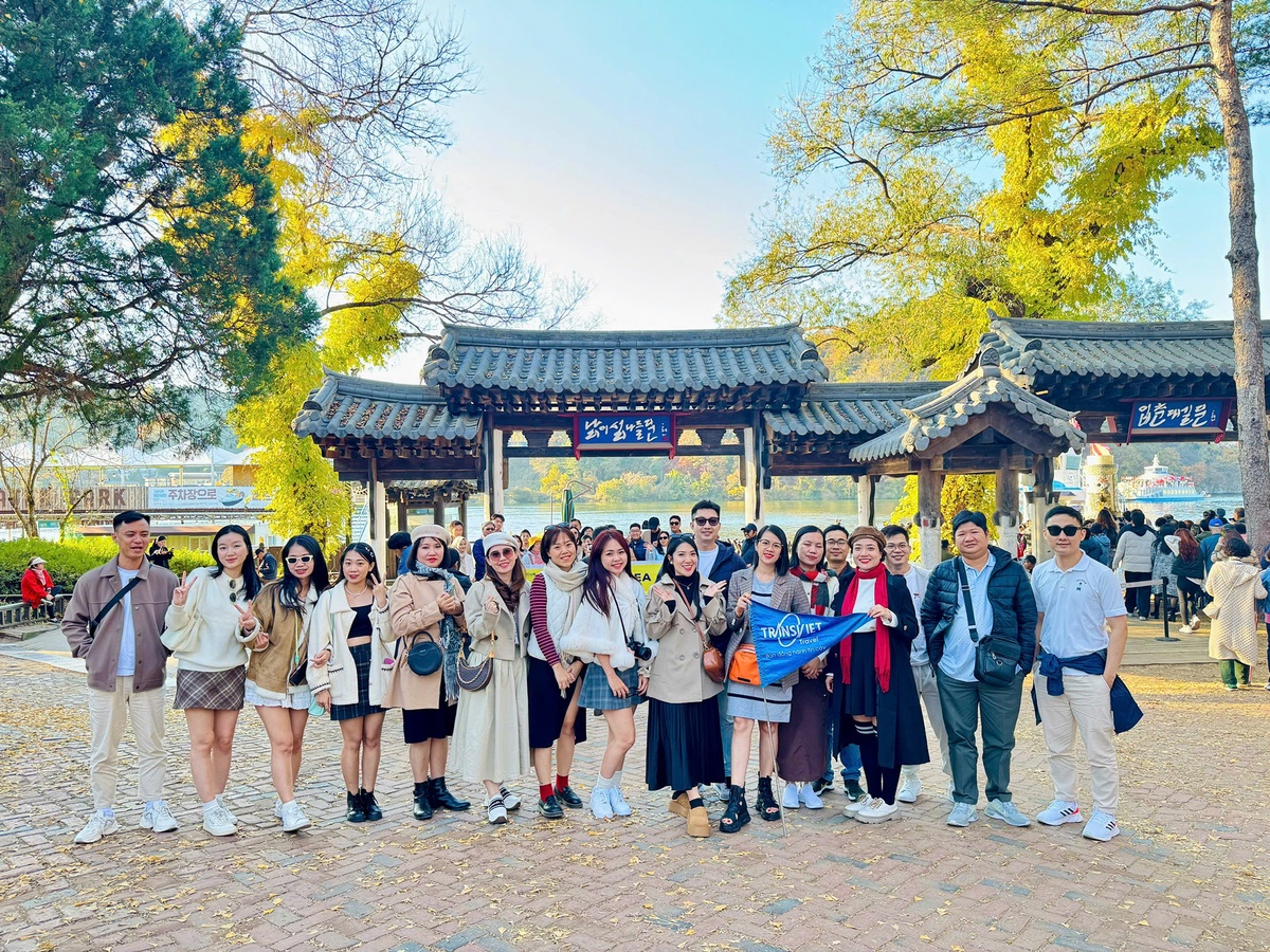 TransViet ảnh 1 TransViet anh 1