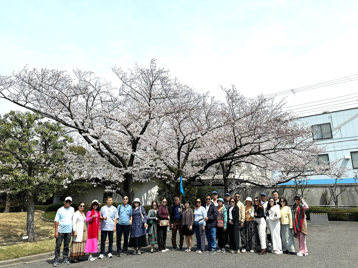 TransViet ảnh 3 TransViet anh 3