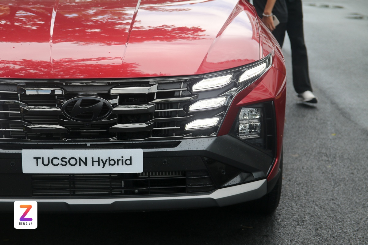 hybrid ảnh 2