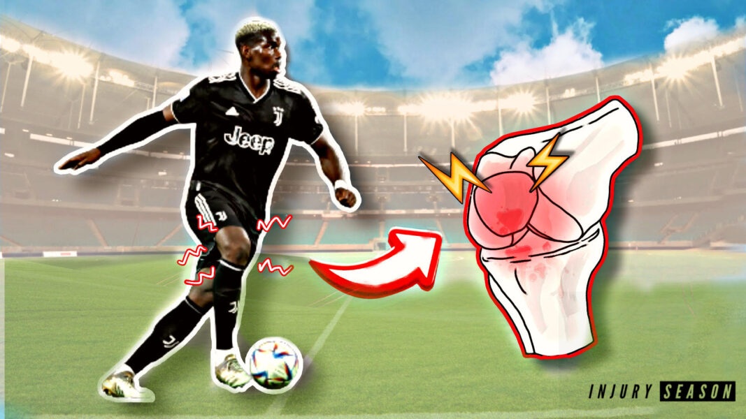 Paul Pogba anh 1