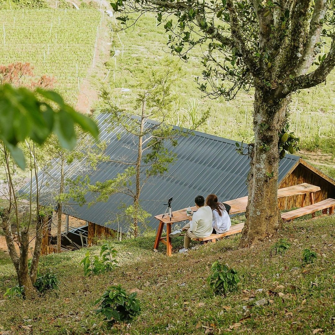 thanh pho Da Lat,  dia diem du lich anh 2