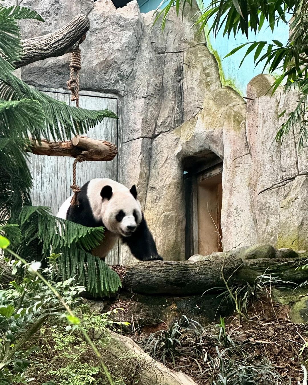 du lich Dong Nam A anh 6