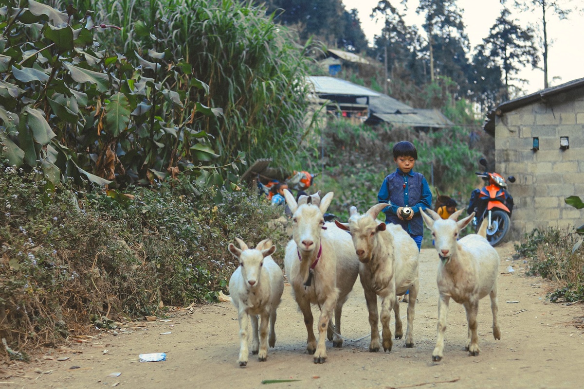 phuot Viet Nam anh 21