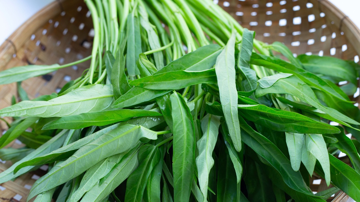 Loại rau người Việt kho&aacute;i khẩu nhưng đầy k&yacute; sinh tr&ugrave;ng | Znews.vn