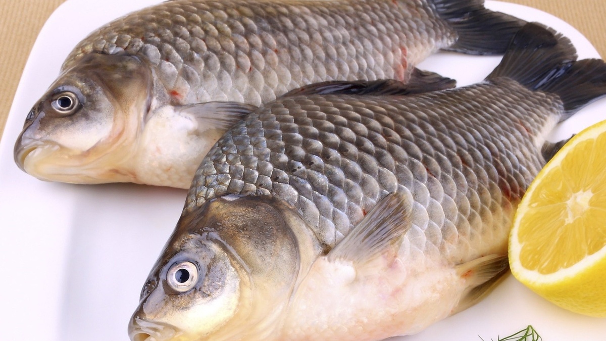 3 loại cá bình dân là 'thuốc quý' giúp bổ gan, dưỡng thận | Znews.vn