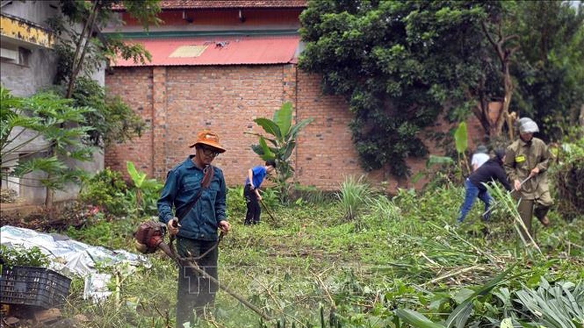 Sốt xuất huyết tăng mạnh mùa mưa: Que xét nghiệm sốt xuất huyết Novatrend hỗ trợ phát hiện NGAY LẬP TỨC 1 Bệnh sốt xuất huyết tiếp tục diễn biến phức tạp trong mùa mưa | Znews.vn