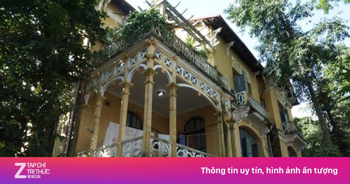 zingnews.vn