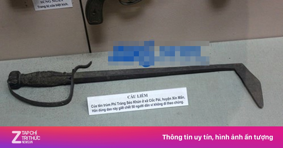 zingnews.vn