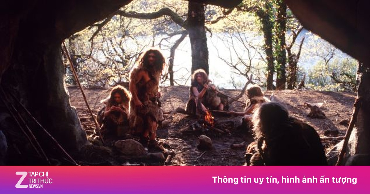 Gia đình người Neanderthal ăn thịt lẫn nhau - Chuyện lạ - ZNEWS.VN