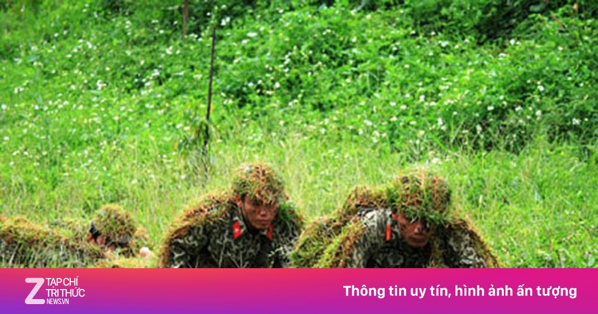znews.vn